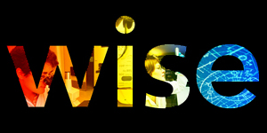wise colorful logo on black